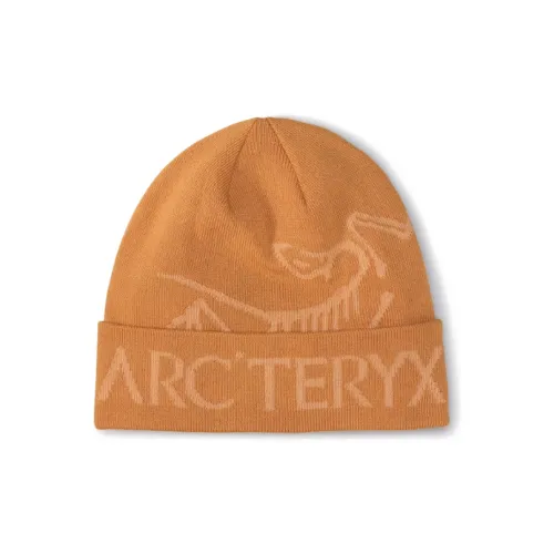 Arcteryx Переработанный полиэстер Шапки-бини Унисекс