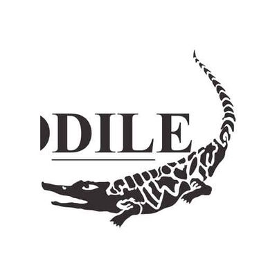 Crocodile