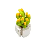 [레인보우 제이드] Potted 조립 블록 컬렉션