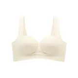 샴페인