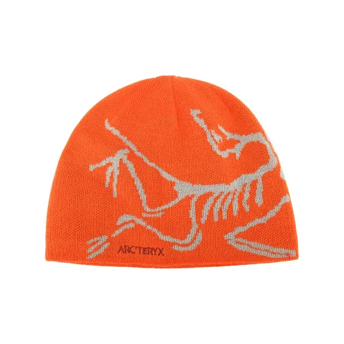 Arcteryx Шапки-бини Мужские