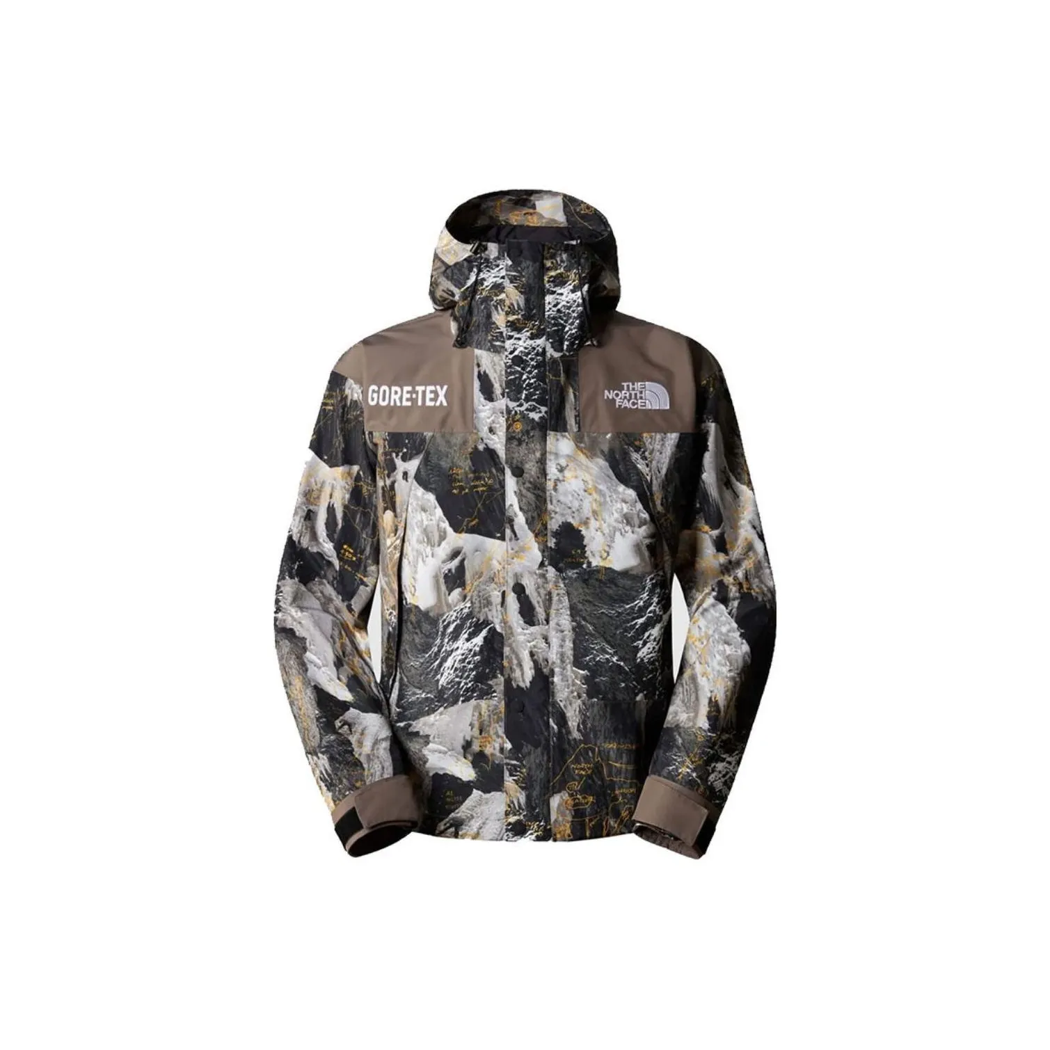 THE NORTH FACE Gtx Mountain Jacket