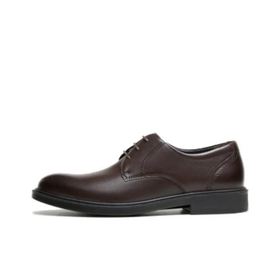 CAMEL Dress Shoes Men's Low Top Brown, Black