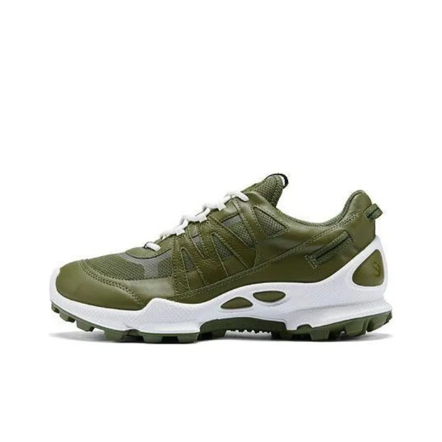 Ecco Striding C Low Топ Походная обувь Мужская Oak Фруктовый зеленый