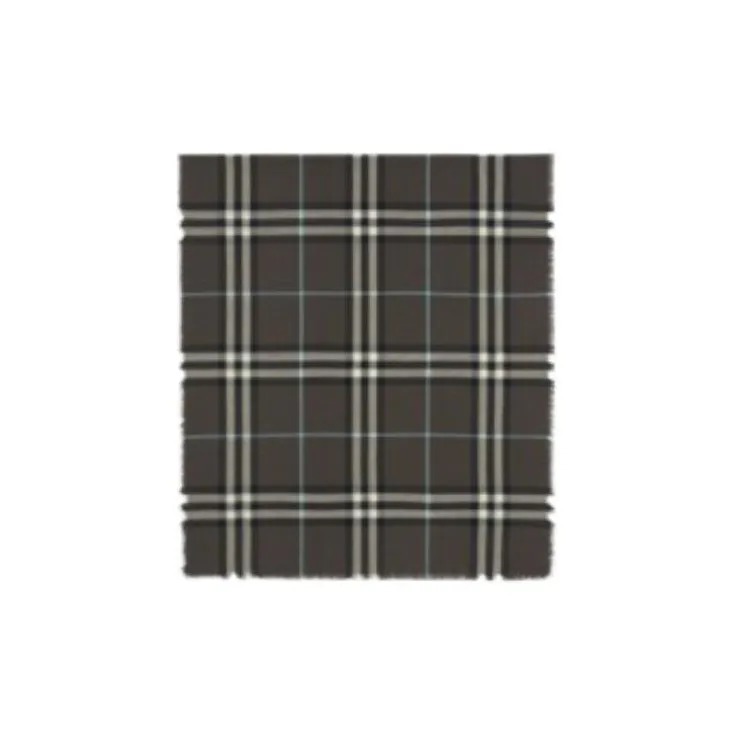 Burberry Scarves Women's