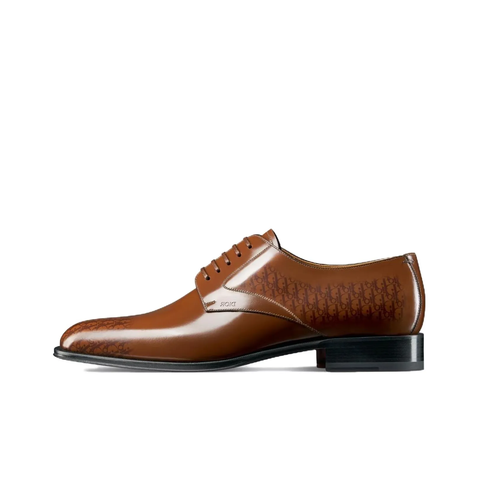 DIOR Timeless Dress collection Shoes Men's Brown
