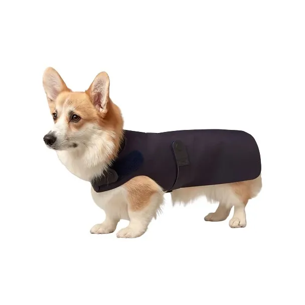 HERMES Dog Clothing & Raincoats