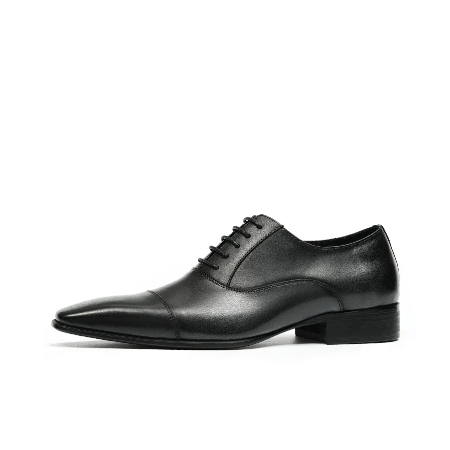 ASTON M.JAZZ Dress Shoes Men's Low Top Black/Coffee