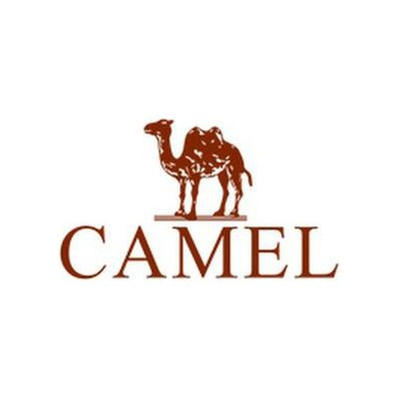CAMEL骆驼