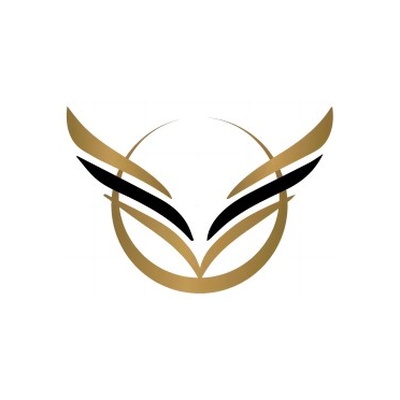 天使之愿