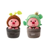 6인치 LOOPY 토터스쉘 드래곤 + 선인장