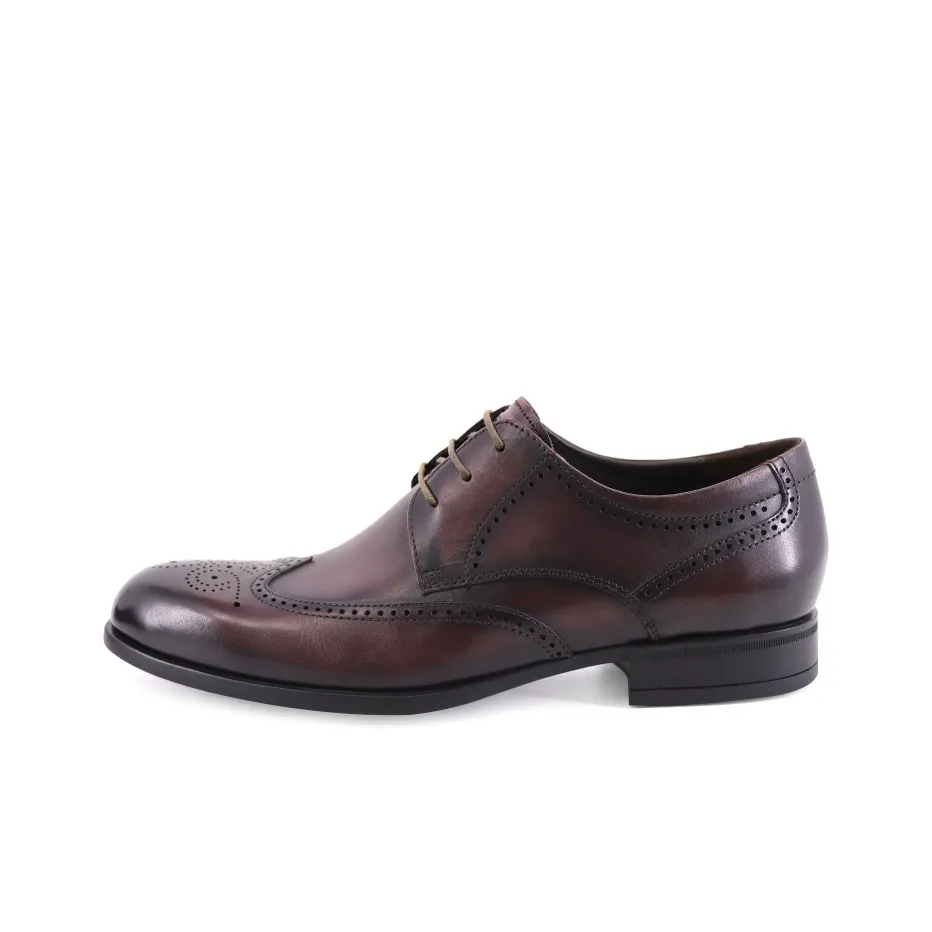 TRANOI Dress Shoes Men's Dark Brown