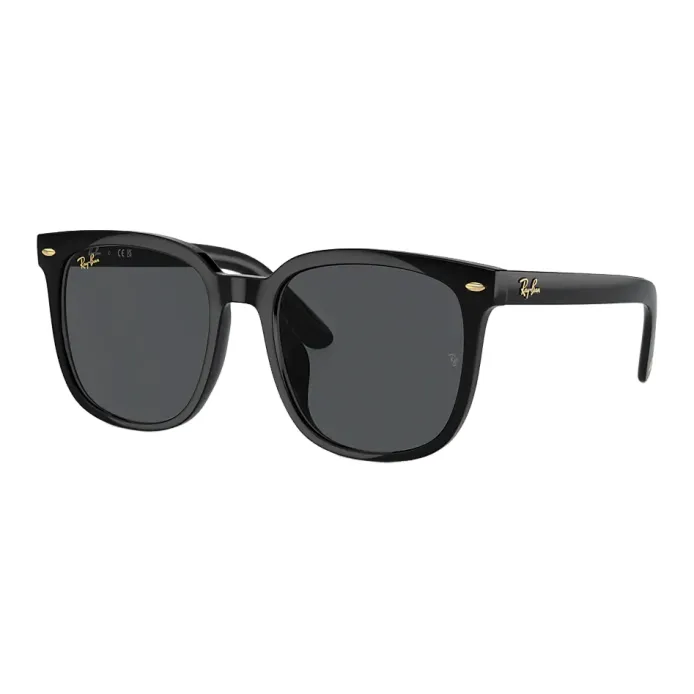 Elevate Your Style with Ray-Ban Lady Burbank Sunglasses