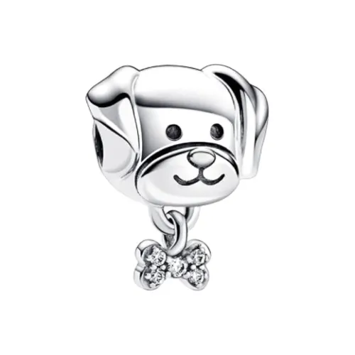 Pandora Серебряные ювелирные аксессуары унисекс