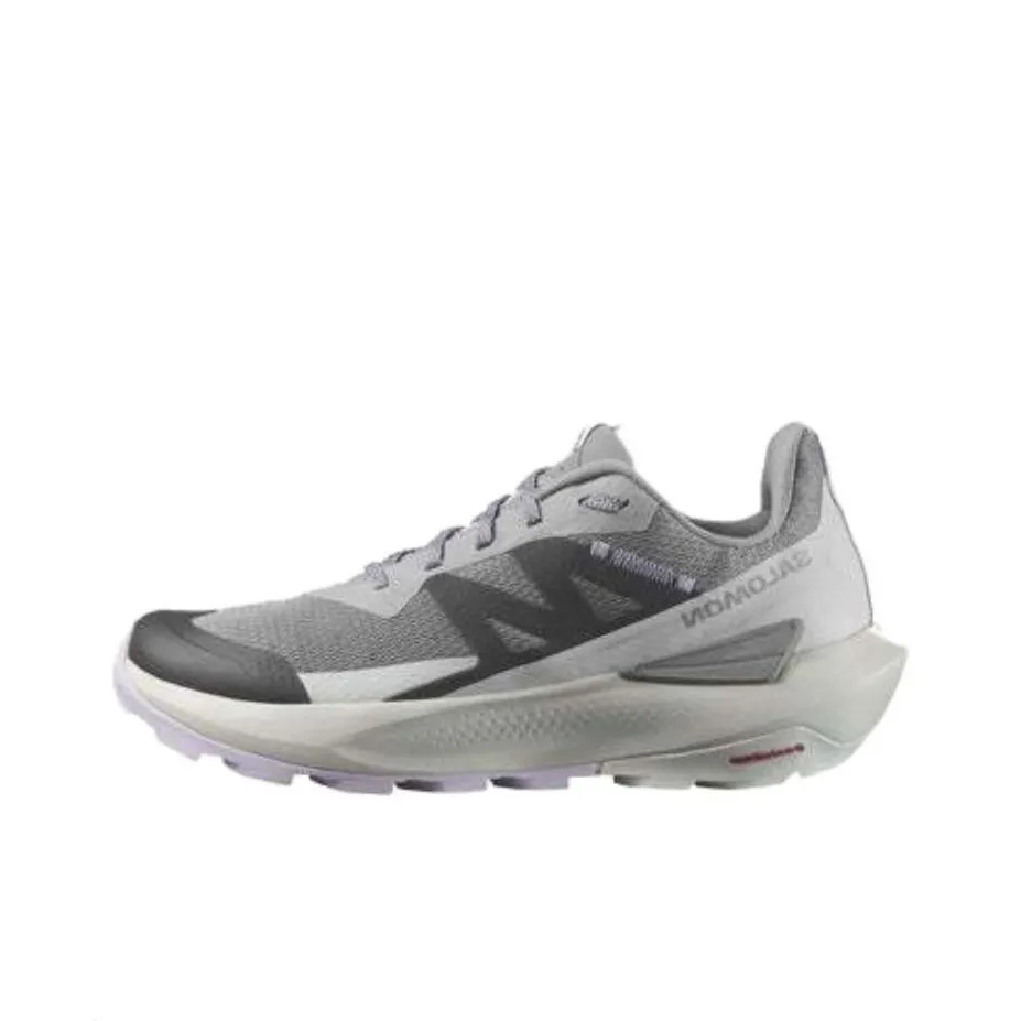 SALOMON Elixir ACTIV противоскользящий низкий топ уличная обувь женские серый