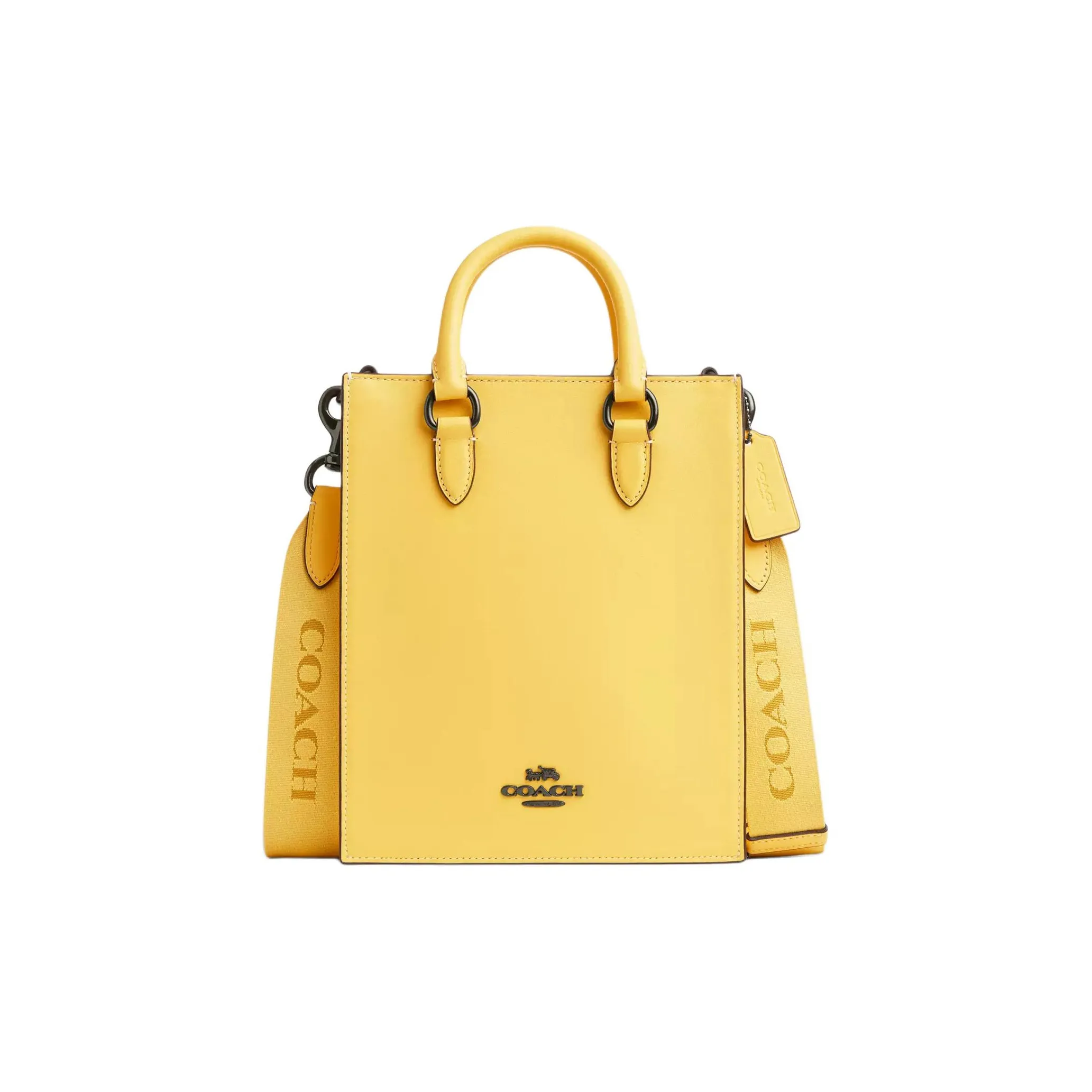 COACH Dylan Handbags