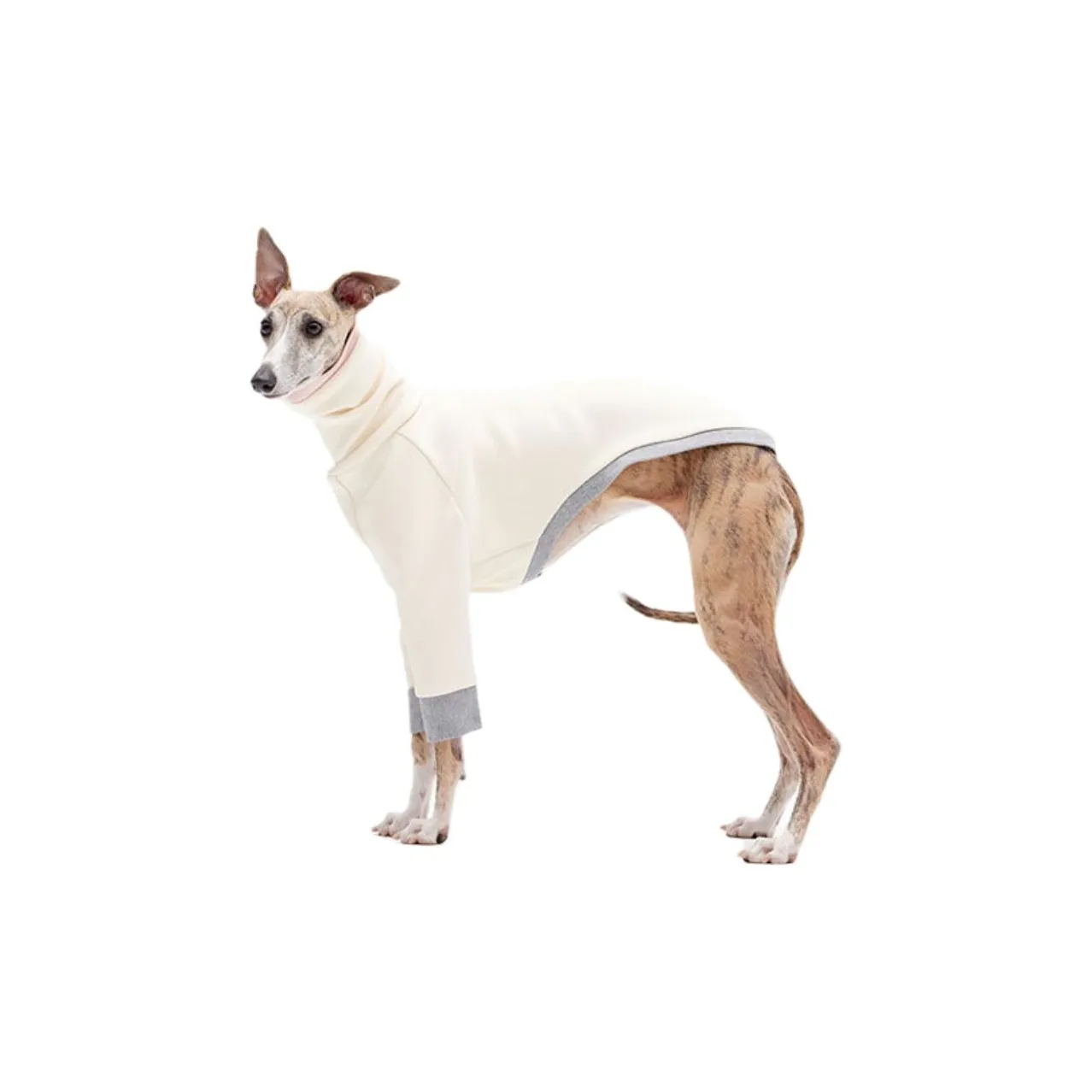 KNOWZA Dog Clothing & Raincoats