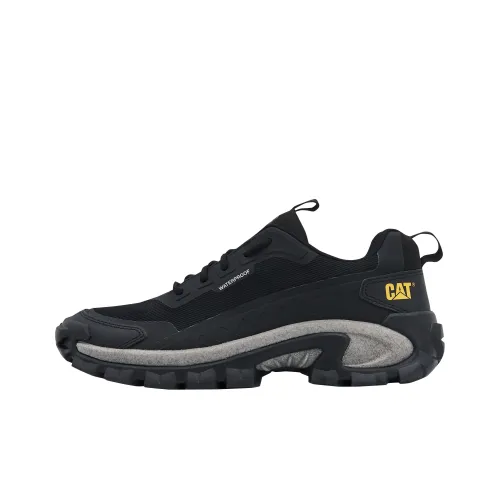 Кошка Уличная обувь Low Top черная унисекс