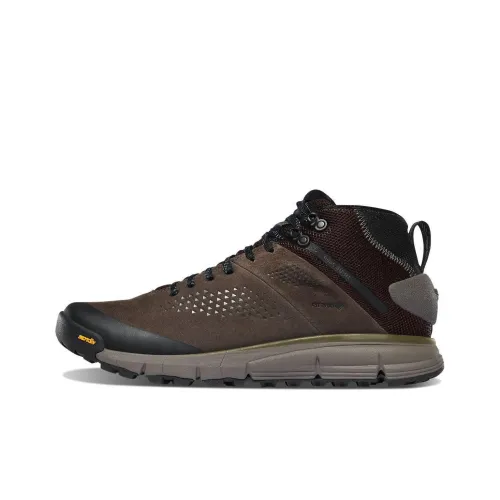 Danner Trail 2650 Уличная обувь Низкий верх Черно-коричневый Мужская