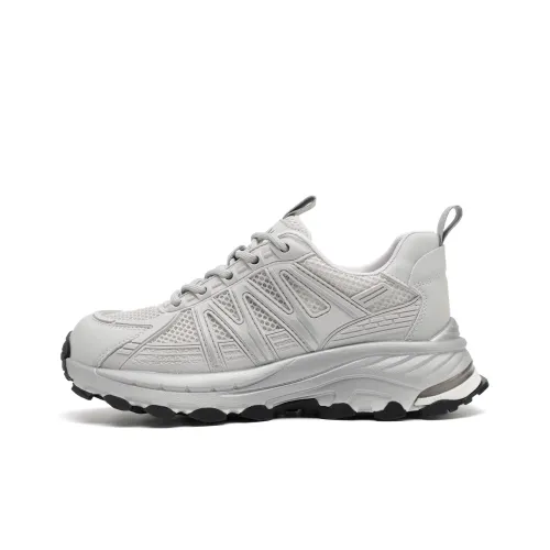 EBLAN Толстоподошвенные кроссовки Low Top Серые Женские