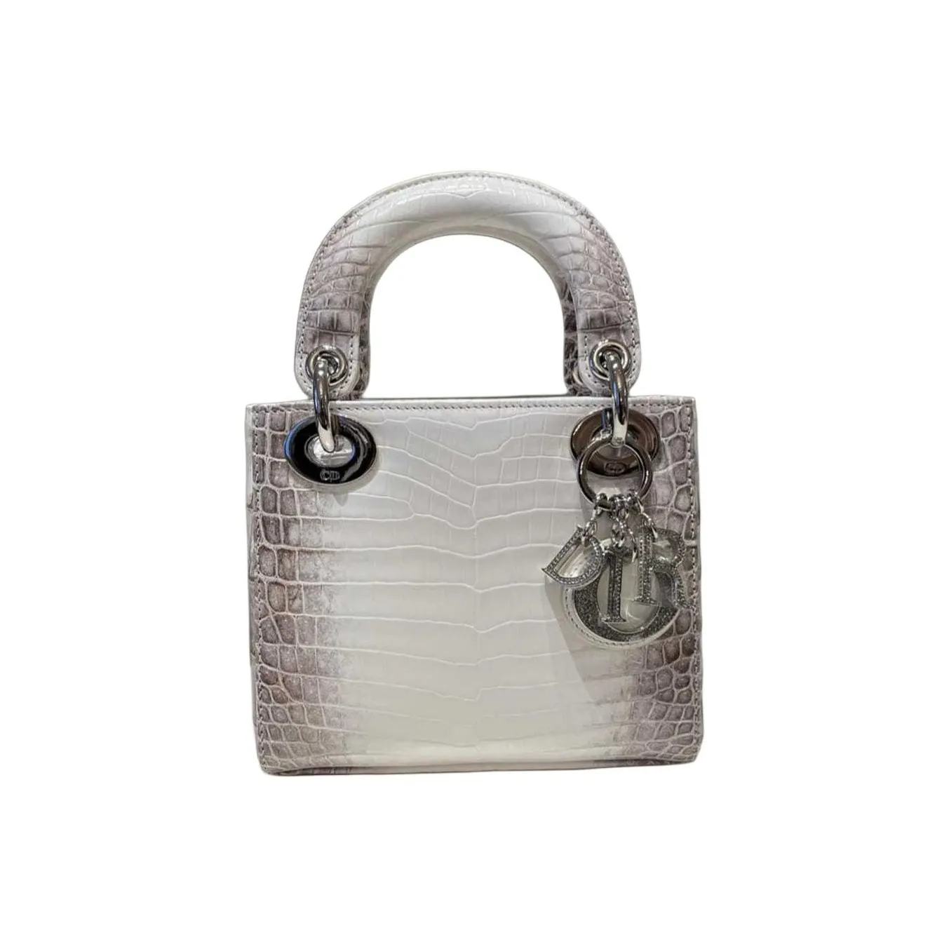 DIOR Crocodile Leather Shoulder Bag Crossbody Bag Handbag Mini Women's Gray & White