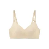 애프리콧 색상