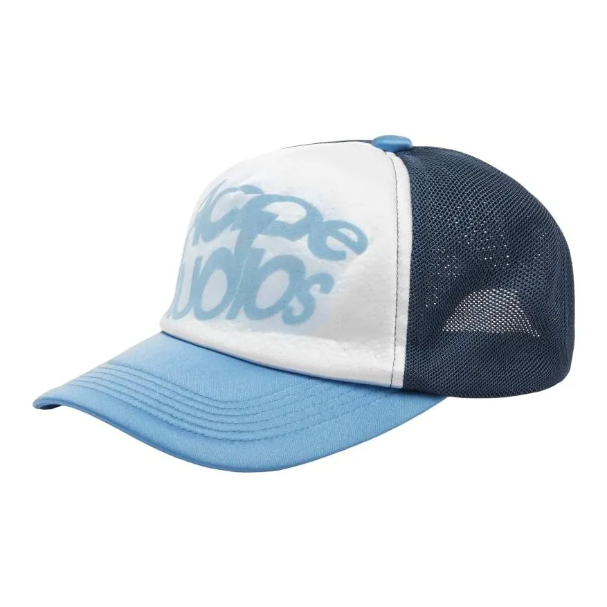 ACNE STUDIOS Полиэстер Кепки Унисекс Синий