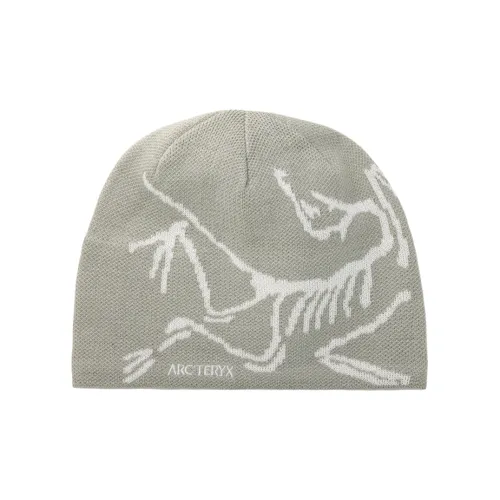 Arcteryx Шапки-бини Унисекс