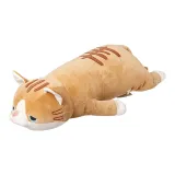 호랑이 고양이