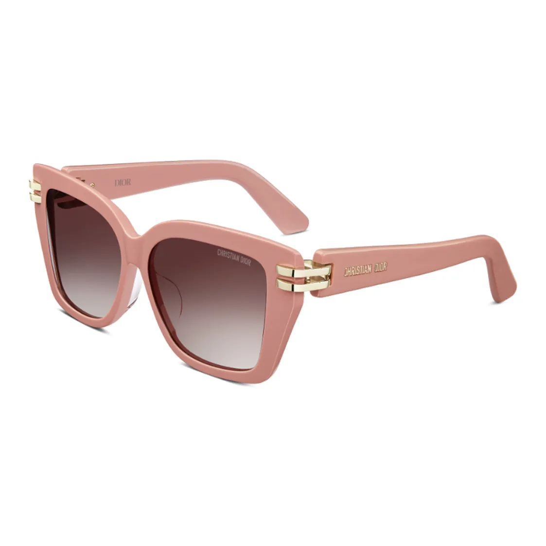 DIOR Eyewear CDIOR S1I Square Frame Sunglasses