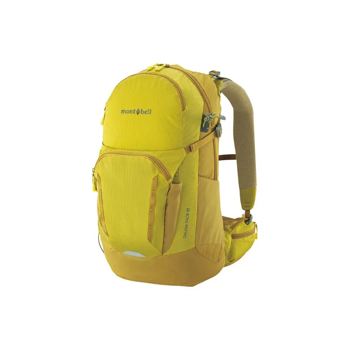 because this bag has so many elements that meet my