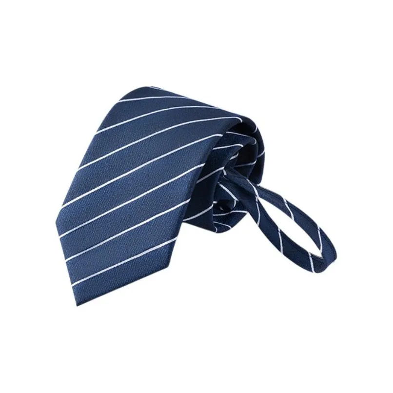 HLA Полиэстер Мужские Галстуки