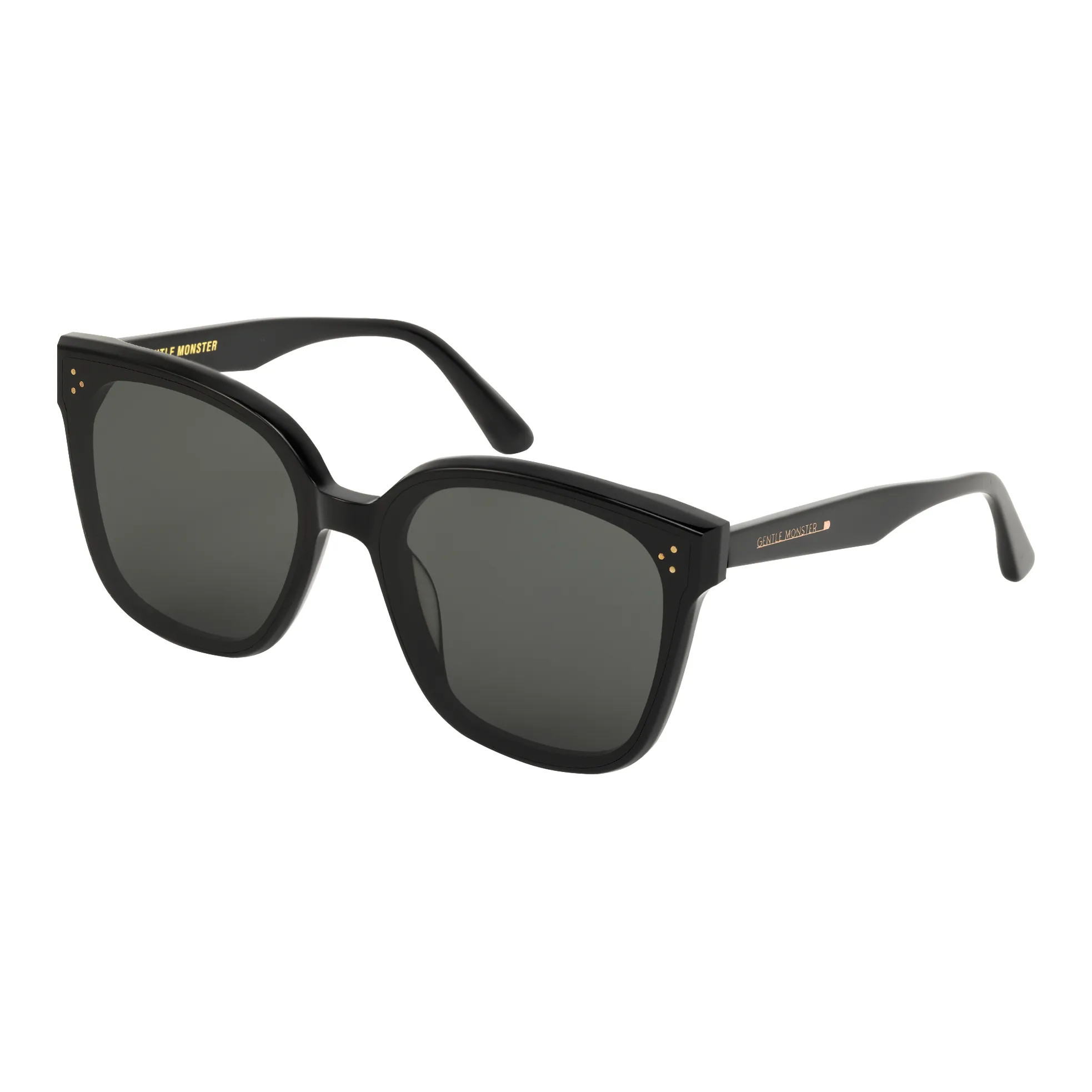 GENTLE MONSTER Rick 01 Sunglasses
