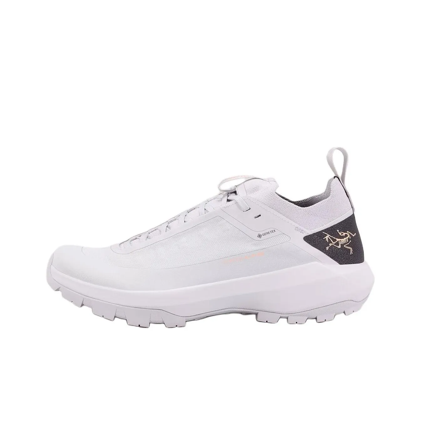 Arcteryx Verte Abrasion Resistant, Breathable, And Waterproof Low Top Mountaineering & Hiking Shoes Men's Gray