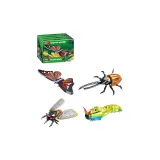 Insect-Inspired 컬렉션 [4 Boxes 세트] C0634