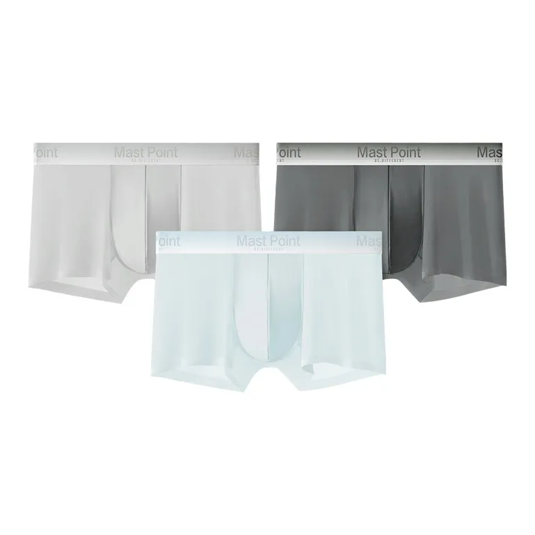 Mast Point Men's Boxer Briefs