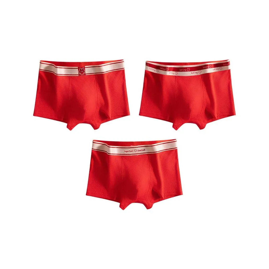 PLANDOO Underpants Men's 3 Pack