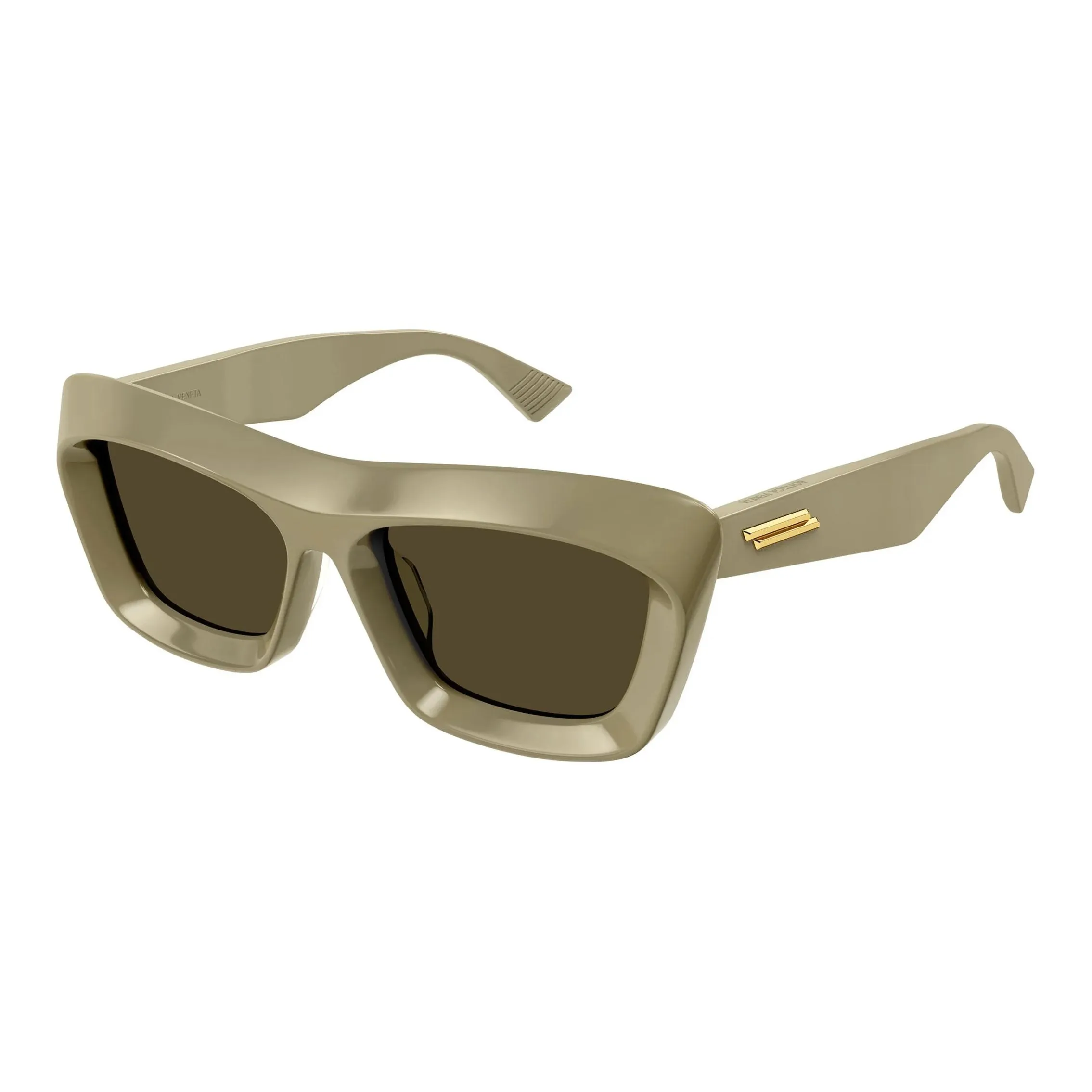 Bottega Veneta Eyewear Classic Cat Eye Frame Sunglasses
