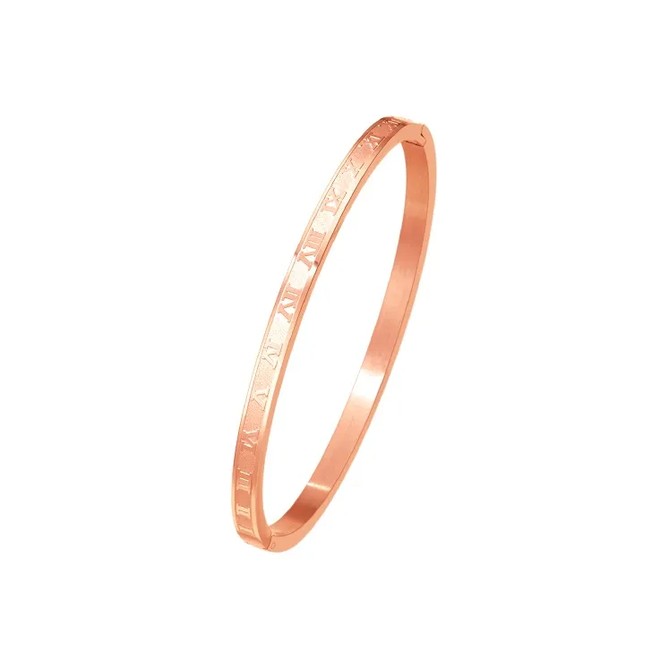 SGM Титановый стальной циркон браслеты женские розовое золото