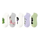 5팩 세트 (PET 카툰)