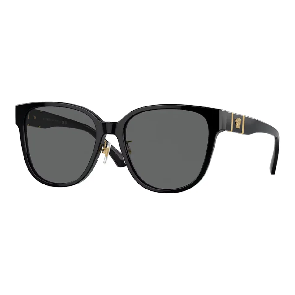 VERSACE Ацетат OVAL SUNGLASSES Мужской Черный