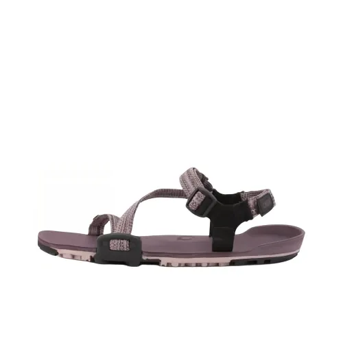 Xero Shoes One Ремень Сандалии Серо-фиолетовый Женские