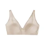 플레시