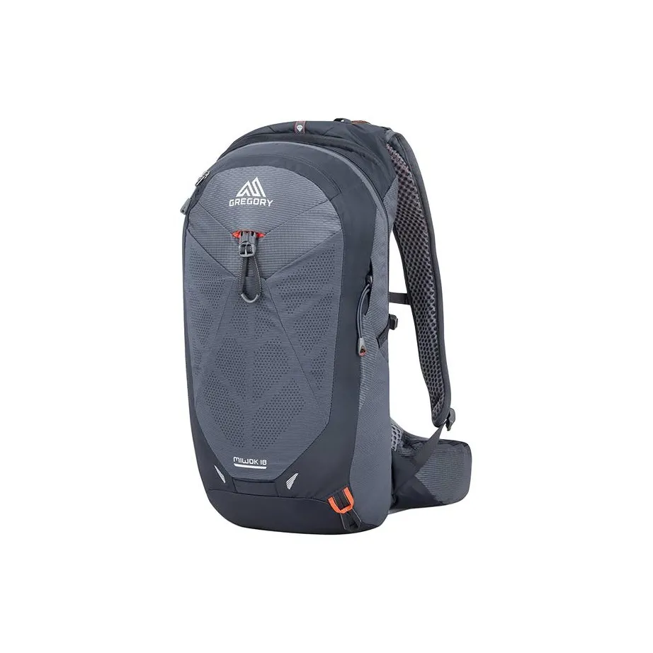 GREGORY 18L Туристические сумки Нейлон Пламя Черный Мужской