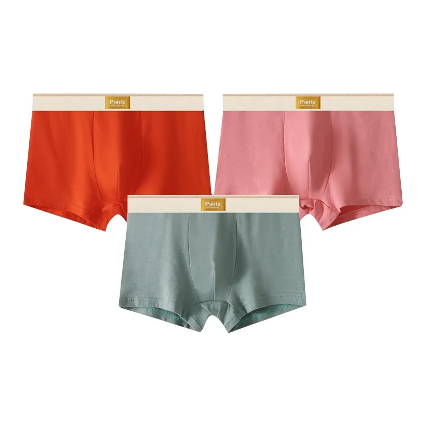 Close fitting Areas Underpants Men's 3 Pack
