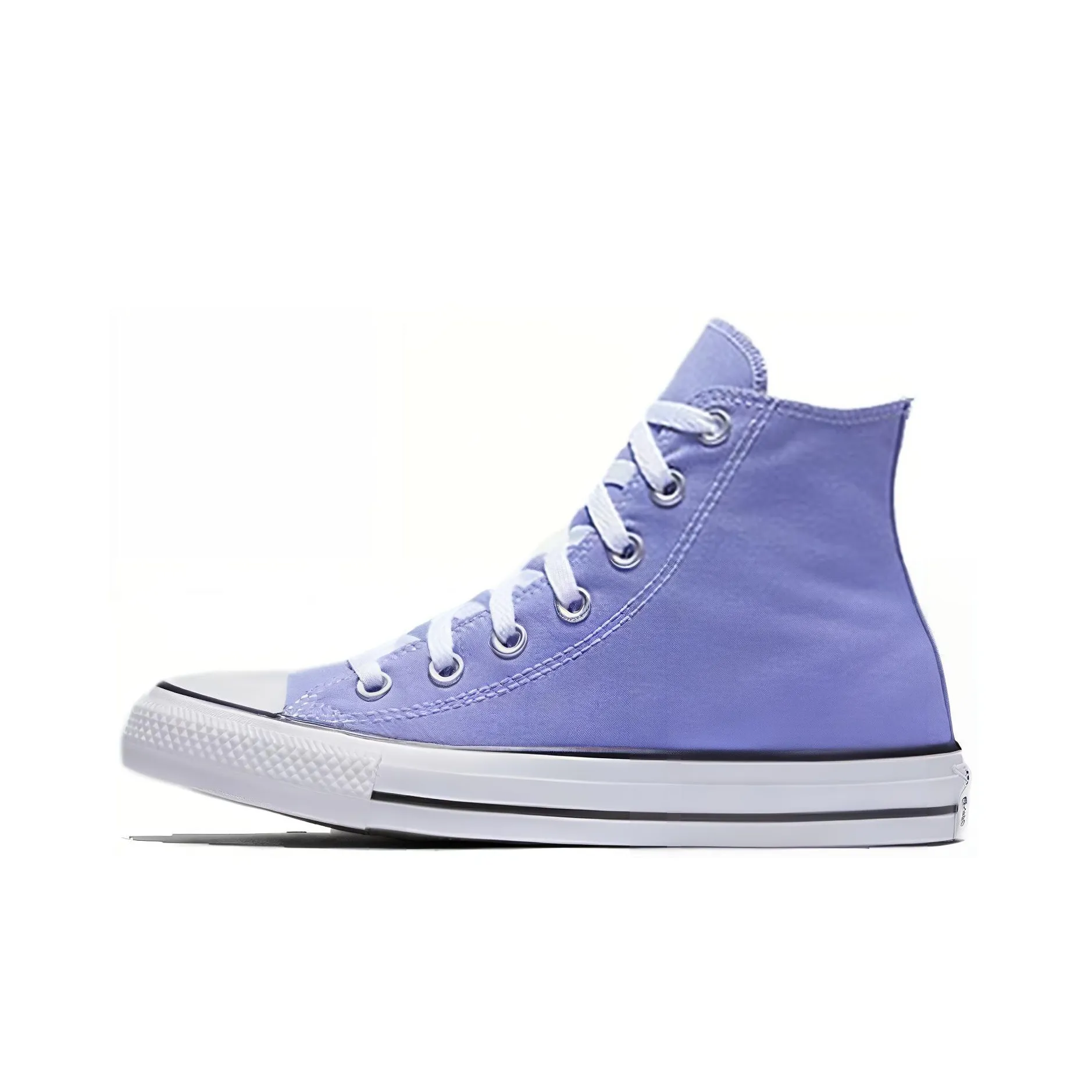 Converse Chuck Taylor All Star Seasonal High Top