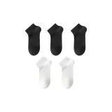 5팩 세트 (2 화이트 + 3 블랙)