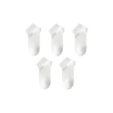 5팩 (화이트)
