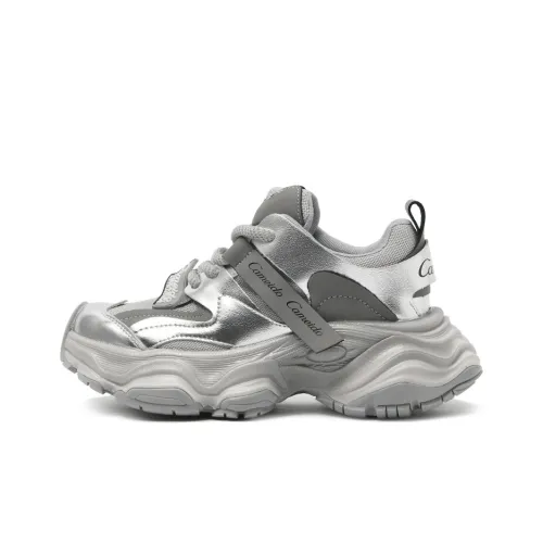 CAMEIDO Толстоподошвенные кроссовки Low Top Серебряные Женские