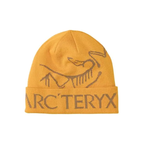 Arcteryx Шапки-бини Унисекс